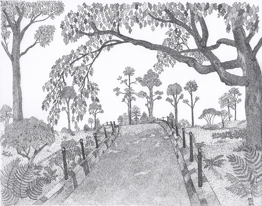 Sunday Stroll - 