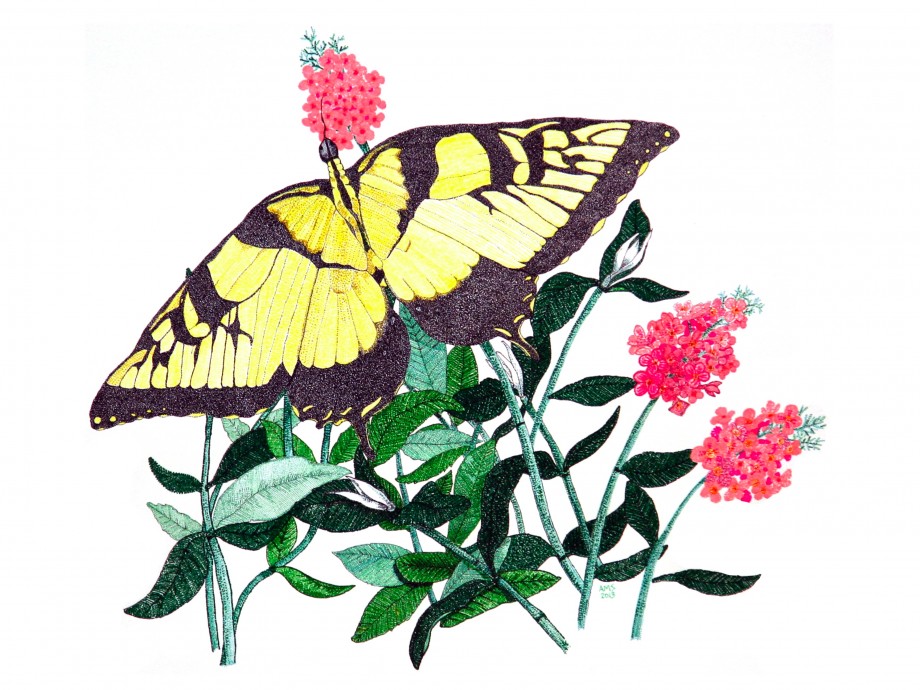 A Peaceful Visit - 