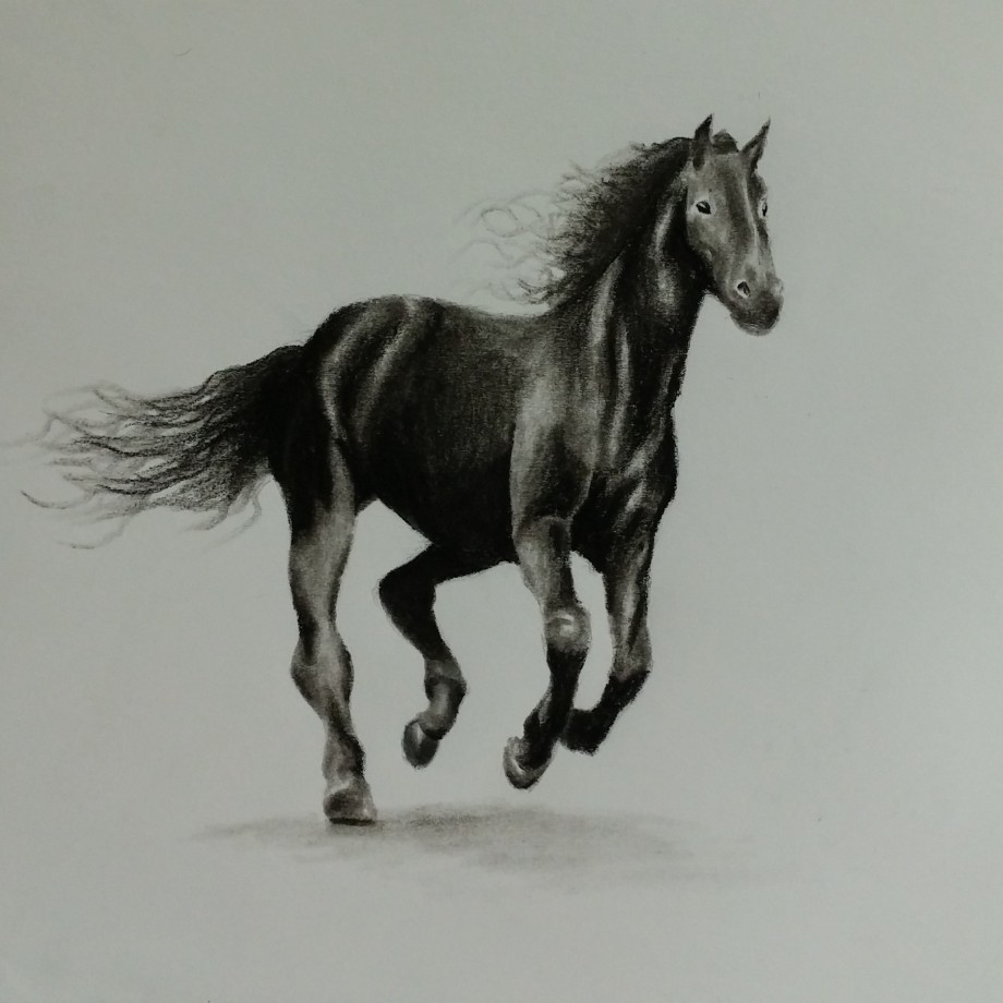 Dark Steed - 