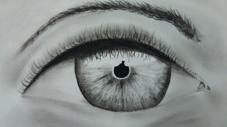 Iris - 