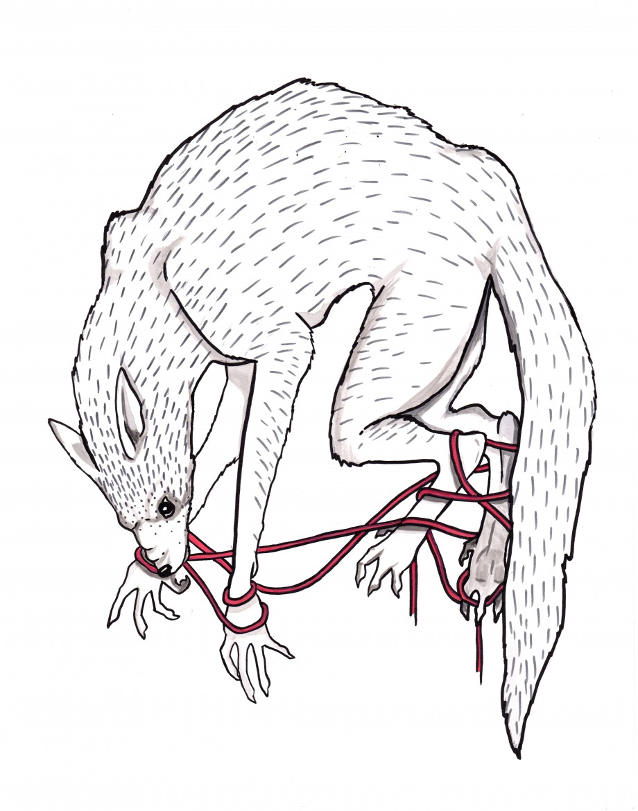 Ribbon Trap - 