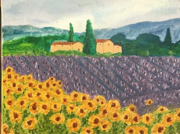 Campo Di Girasoli - 