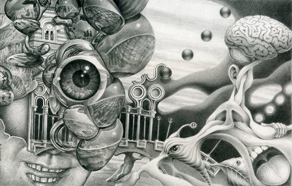 The Central Scrutinizer - 