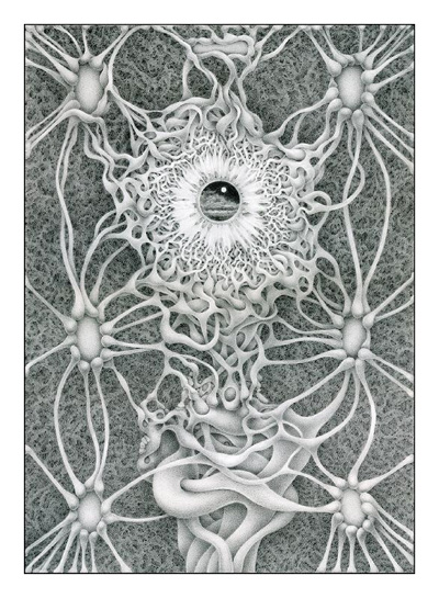Neural Networks - 