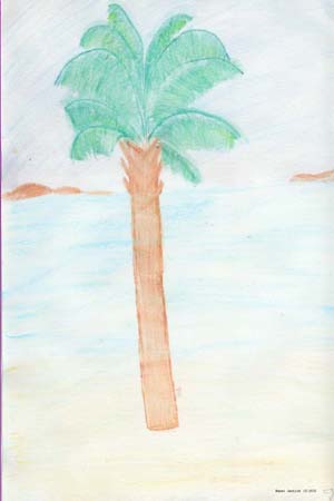 Palms - 