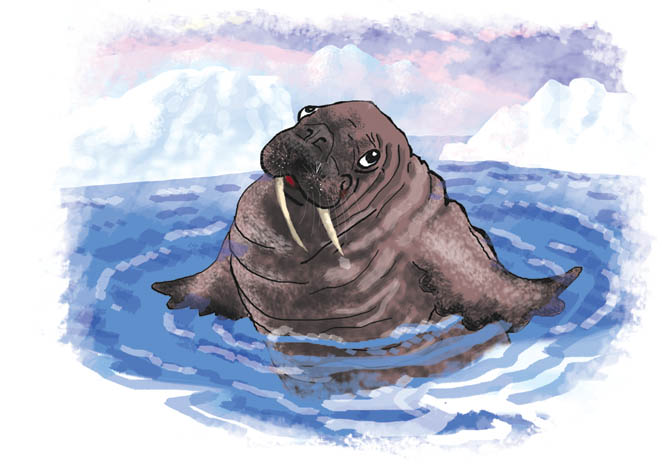 From Book For Kids - 