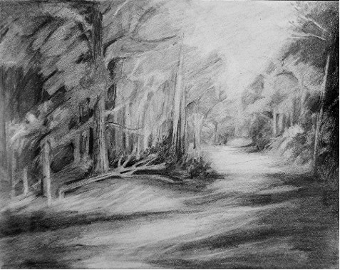 The Wood - 
