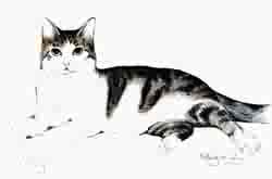 Baby - 