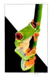 Treefrog - 