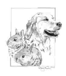 Lady & The Bobbseys - 