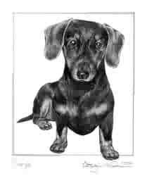 Suzie - 