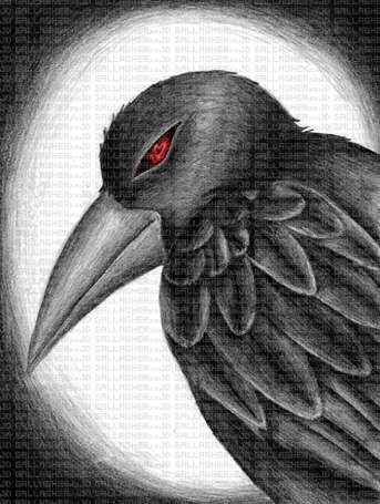 The Raven - 