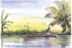 Morning Catch - 