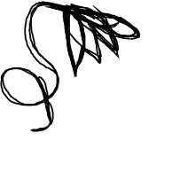 Flower - 