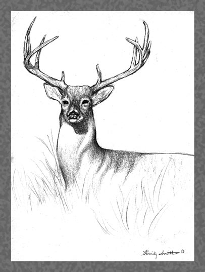 Buck - 