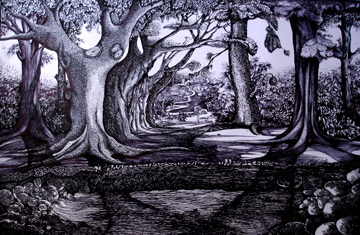 Landscape - 