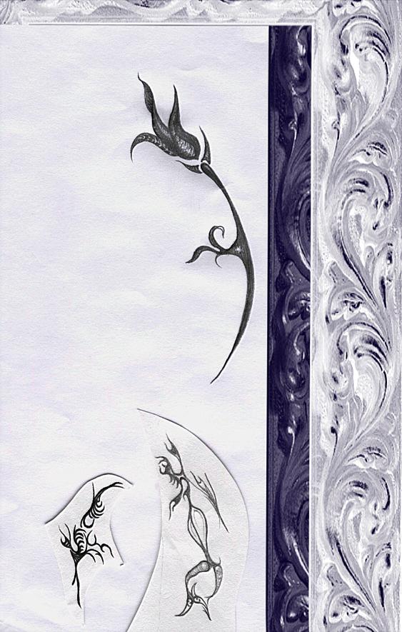 Flowers - 