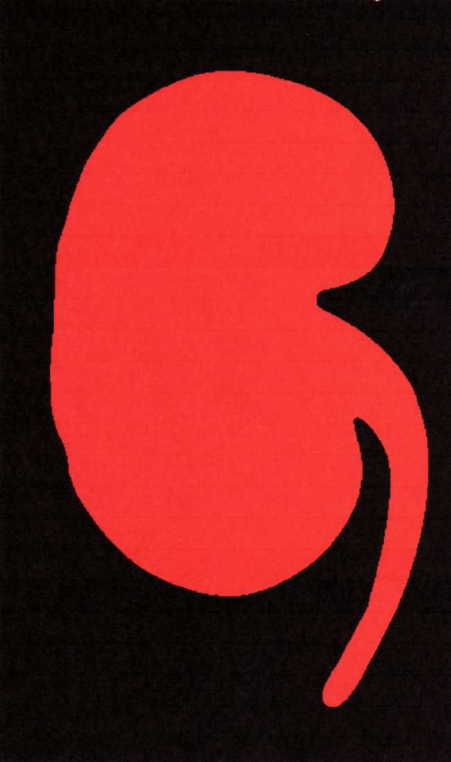 8834 - 