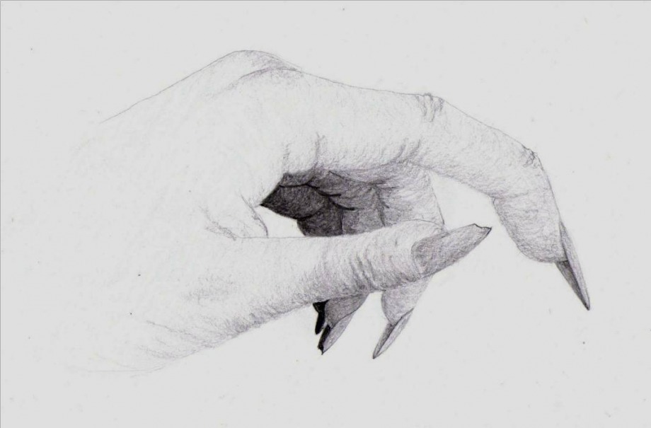 The Hand Of God - 