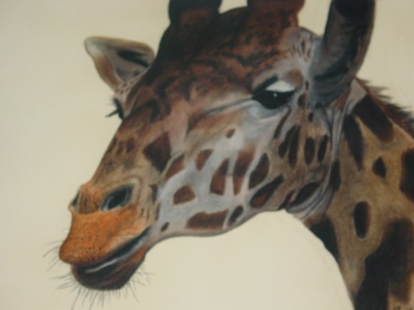 Giraffe Head - 