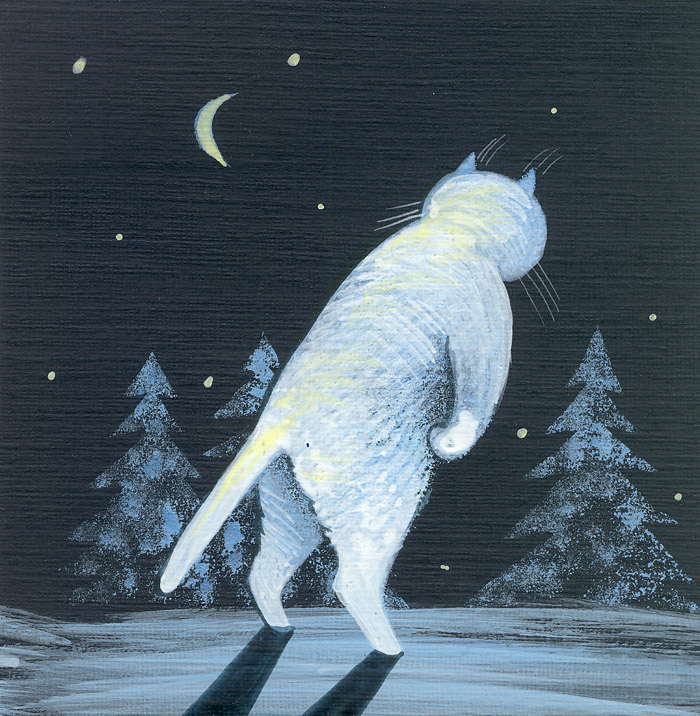 Night - 
