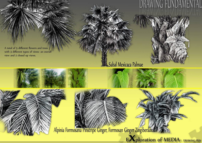 Drawing Fundamental - 
