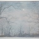 Trees moonlight  by Elizabeth Bullock 