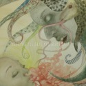 Pangolin by Anastasia Overton