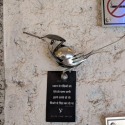 Spoon Art | Spoon Artist | Birds | Artist Wajid Kh by Sameer Mirza