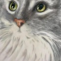 Bella Kitty by Sherion Jones