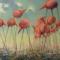 birds by Verheyen Robert