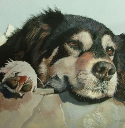 Jack by Belinda Matthews
