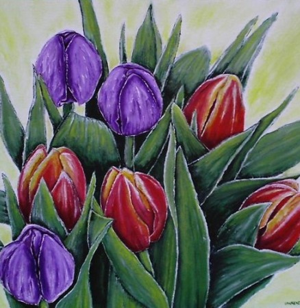 Tulips delight by Aaron Lawrence