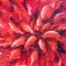 The Unpurposed Bloom