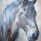 The horse