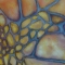 Soft Mosaic