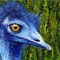 Emu