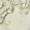 Iced Flowers Abstraction of Flowers FINALE