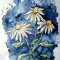 3 daisies