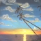 hawai. 02.