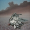 dead bird,seagull