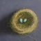 left nest