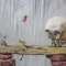 vanitas vanitatum