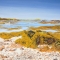 Stone and Kelp shore