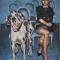 Dame Avec Le Chien