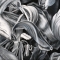 Tulipmania 17 - Black and White 
