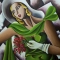 Girl in the green dress