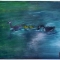 The Ducks