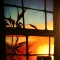 Kitchen Window