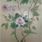 Peonies. Asia Mural.
